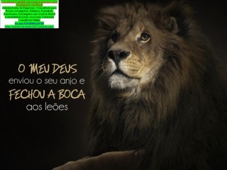 parana-abertura-regularizacao-empresas-cnpjmicroempreameime