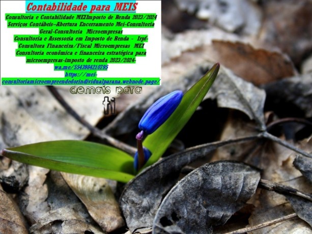 av-salgado-filho-consultoria-microempresa-contador-e-imposto-de-renda-big-0
