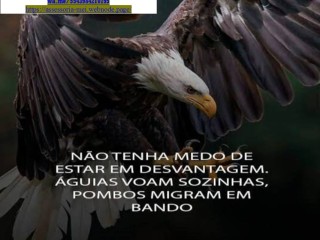 tonstone-pessoa-fisica-e-pjmei-sem-mensalidade-e-cartao