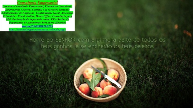 consultoria-para-microempreendedores-mei-parana-big-0