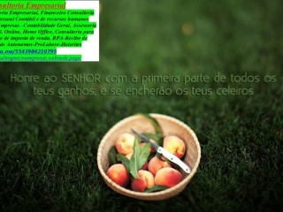 londrina-realizar-alteracao-de-dados-cadastrais-mei-portal-do-govbr