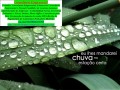 atualizacao-de-dados-cadastrais-do-microempreendedor-small-0