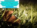 alteracao-de-dados-cadatrais-empresas-e-negocios-londrina-small-0