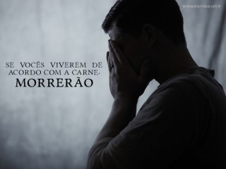 viva-sorte-online-sorte-do-dia