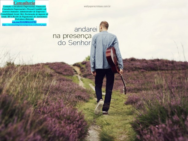 gleba-palhano-agencia-de-marketing-digital-servicos-digitais-londrina-big-0