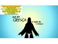 contador-rua-charles-lindemberg-servicos-para-microempresas-mei-small-0