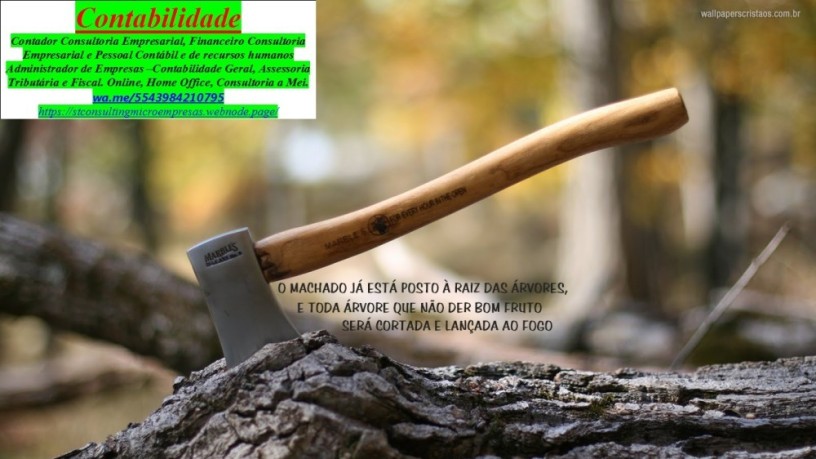 dasn-simei-declaracao-anual-do-simples-big-0