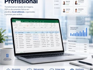 digitamos-tabelas-em-excel-com-precisao-e-rapidez