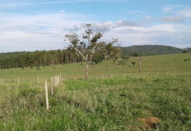 terreno em bonfim mg 31 99526 5839 I4