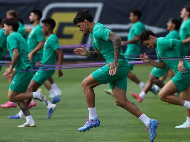 Escalação do Palmeiras: o provável time de Abel para estreia no Mundial
