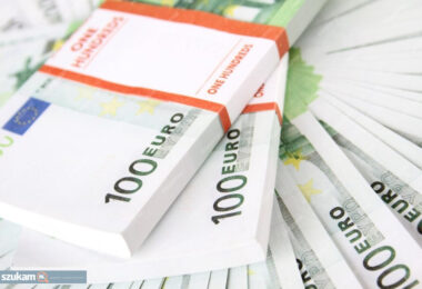 23968_libre-euro-cash-tas-argent_531064-4009_thb