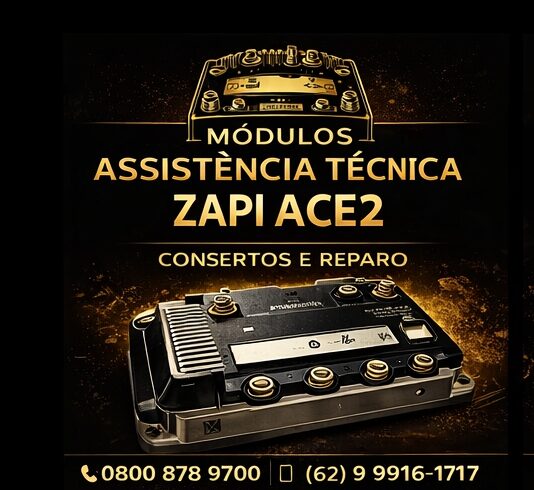 1-ASSISTÊNCIA-TÉCNICA-MÓDULO-ZAPI-ACE2-BRASIL 1-ASSISTÊNCIA-TÉCNICA-MÓDULO-ZAPI-ACE2-BRASIL